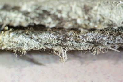 Asbestos Abatement in Bergen County, NJ