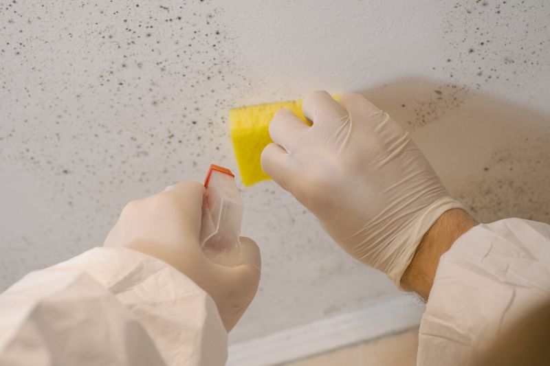 Attic Mold Remediation in Broward County, FL