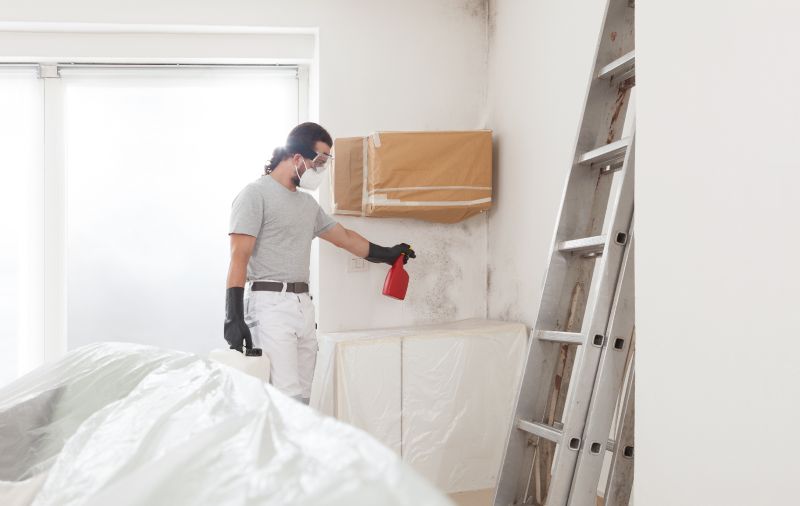 Basement Mold Remediation in Essex County, NJ