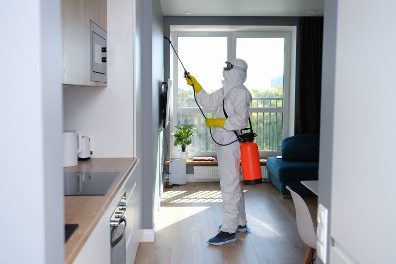 Basement Mold Removal in Jupiter, FL