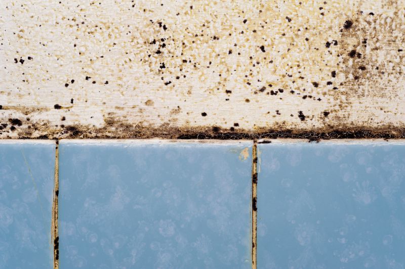 Bathroom Mold Removal