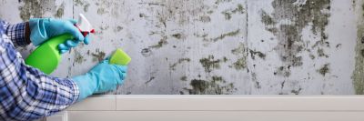 Bathroom Mold Removal