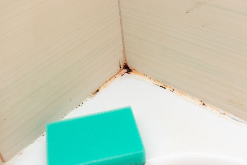 Bathroom Mold Removal