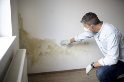 Bathroom Mold Removal Process