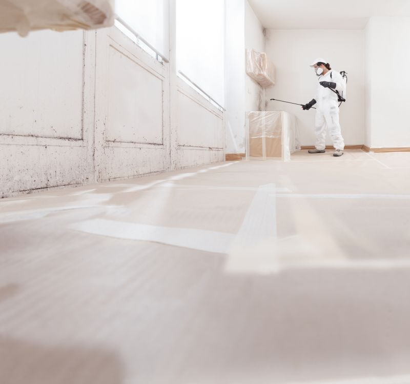 Black Mold Remediation in Jupiter, FL