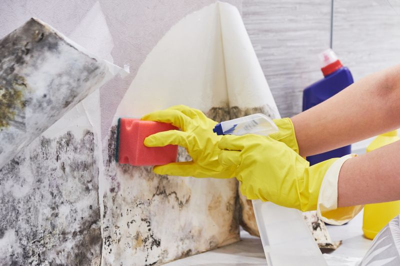 Crawl Space Mold Removal in Fort Lauderdale, FL