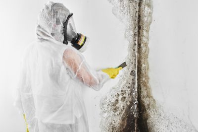 Mold Abatement in Plano, TX