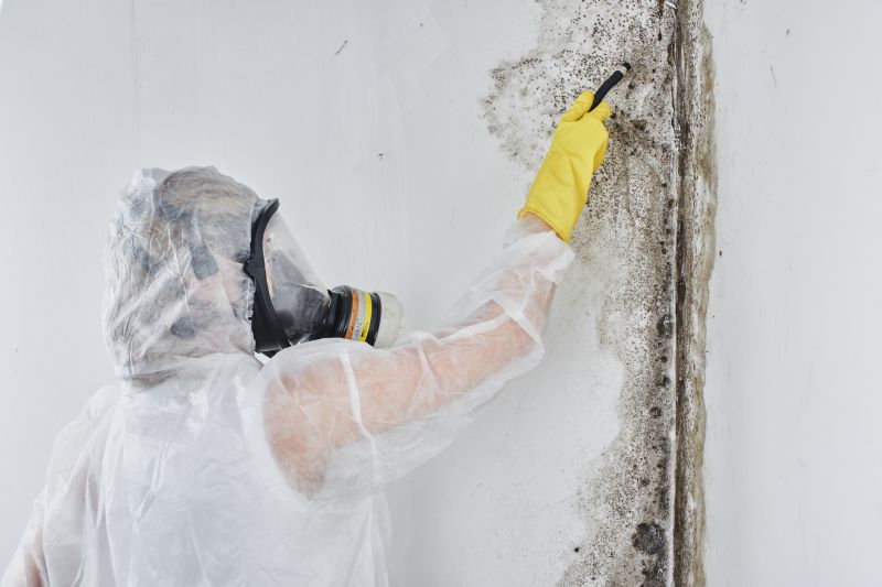 Mold Abatement in Jupiter, FL