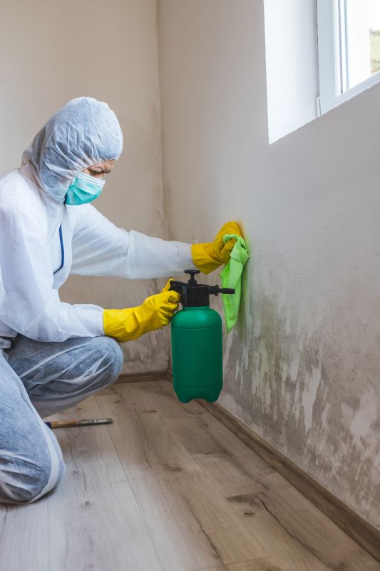 Mold Remediation Service in Dallas, TX