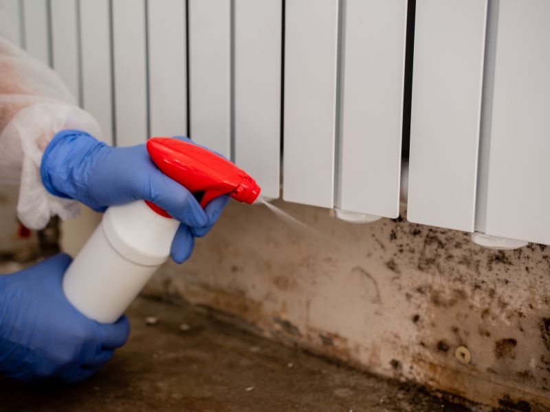 Mold Removal in Dallas, TX