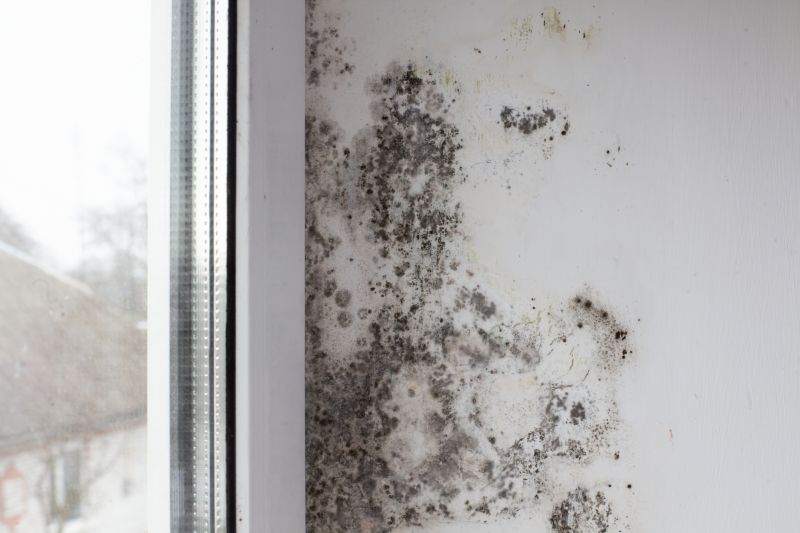 Mold Removal in West Palm Beach, FL