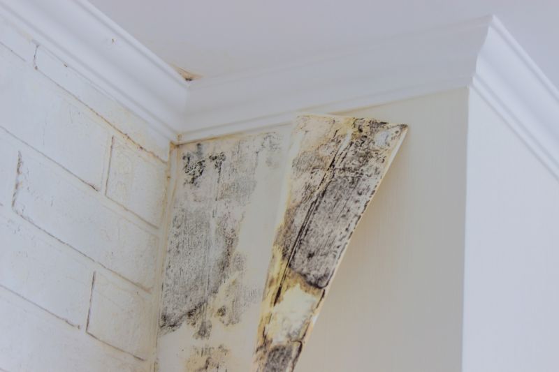 Mold Restoration in Bergen County, NJ