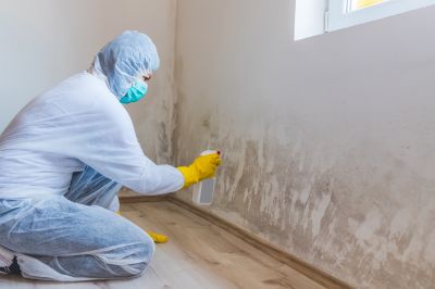 Mold Treatment Service in Dallas, TX