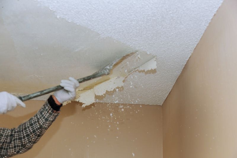 Vermiculite Removal Service in Morris County, NJ