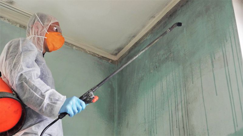 White Mold Mitigation in Essex County, NJ