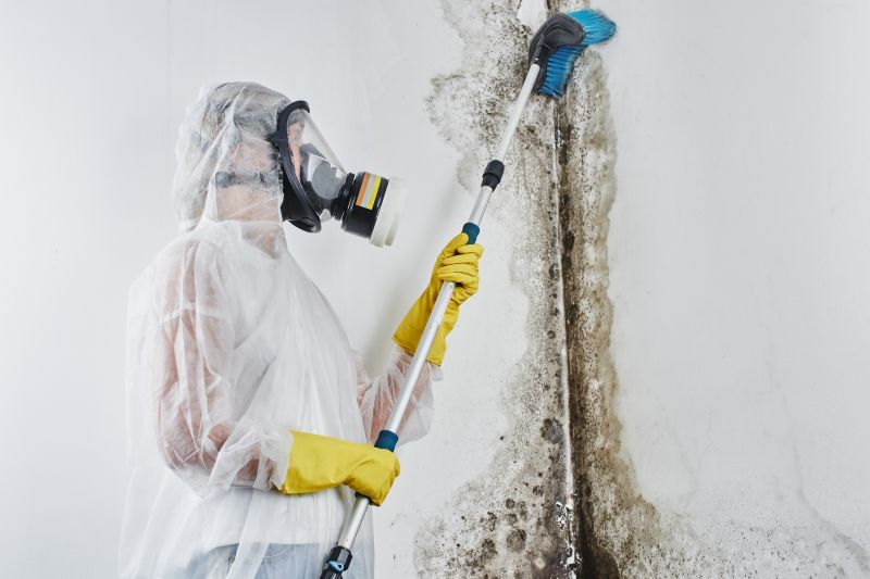 Air Duct Mold Removal in Essex County, NJ