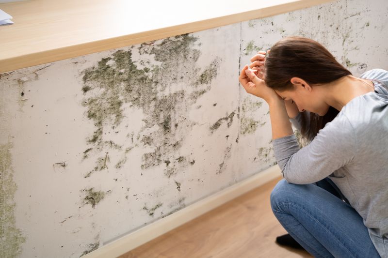 Attic Mold Remediation in Frisco, TX