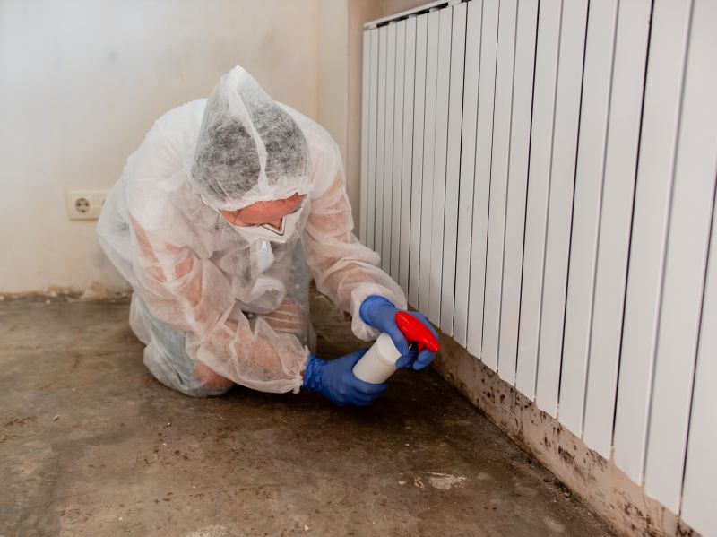 Basement Mold Removal in Boca Raton, FL