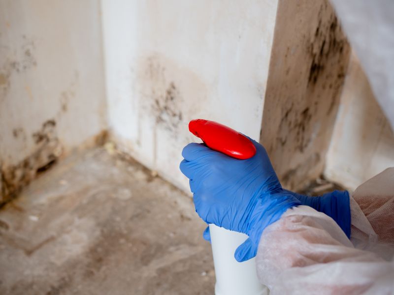 Mold Mitigation Service in Essex County, NJ