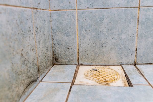 Air Duct Mold Removal